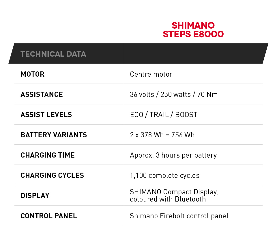 steps electric bike