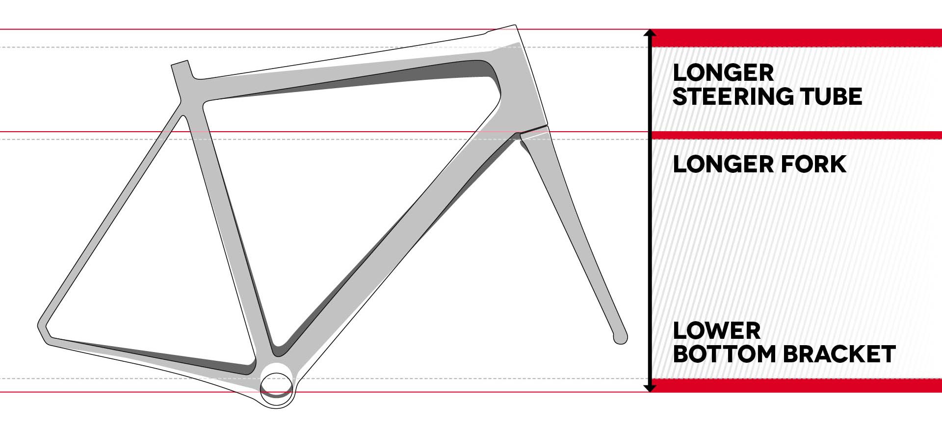 focus paralane sizing