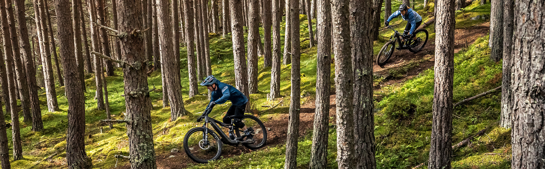 Focus bike full suspension online