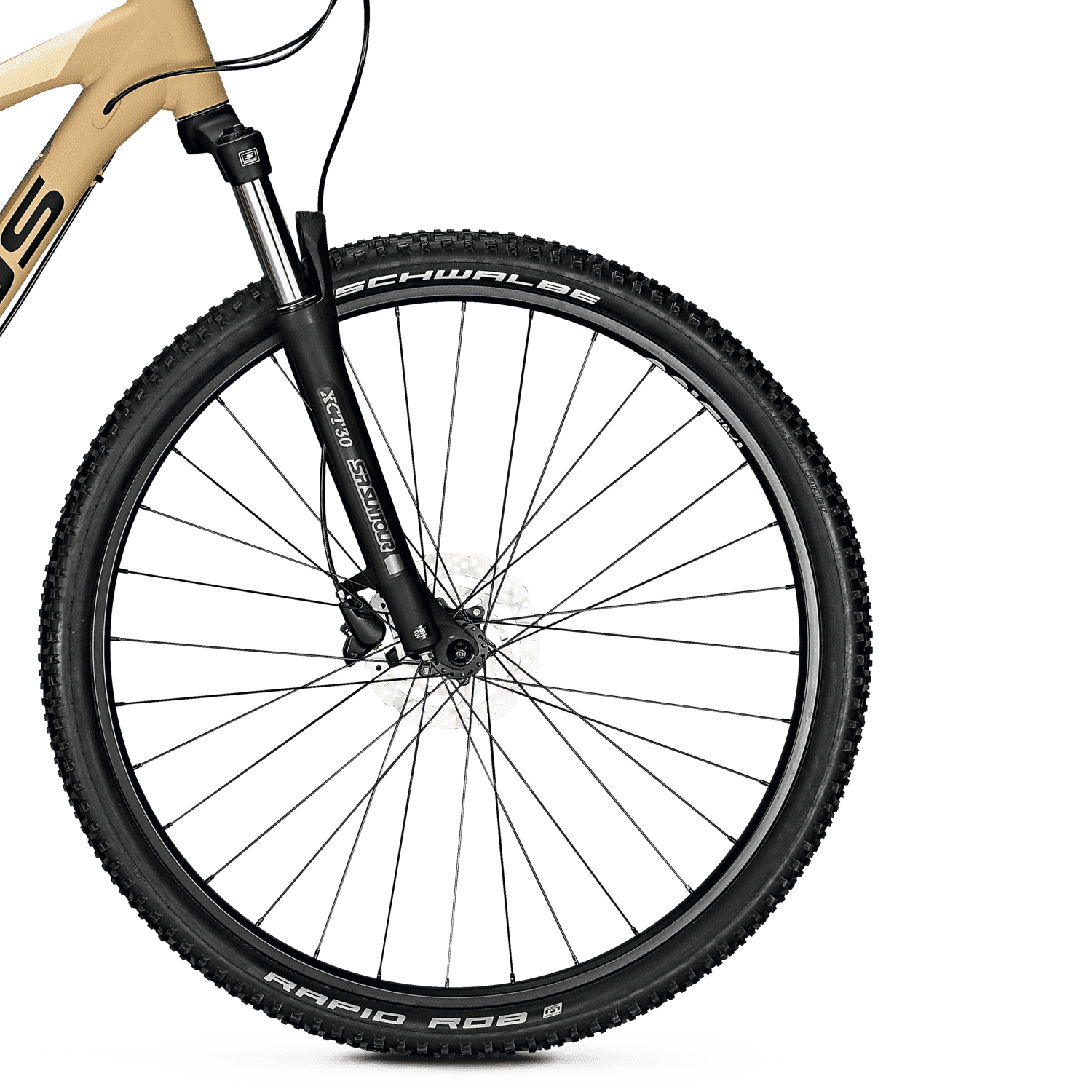whistler focus bike