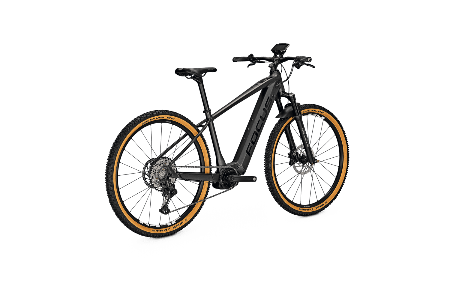 Focus jarifa 2020 Clearance