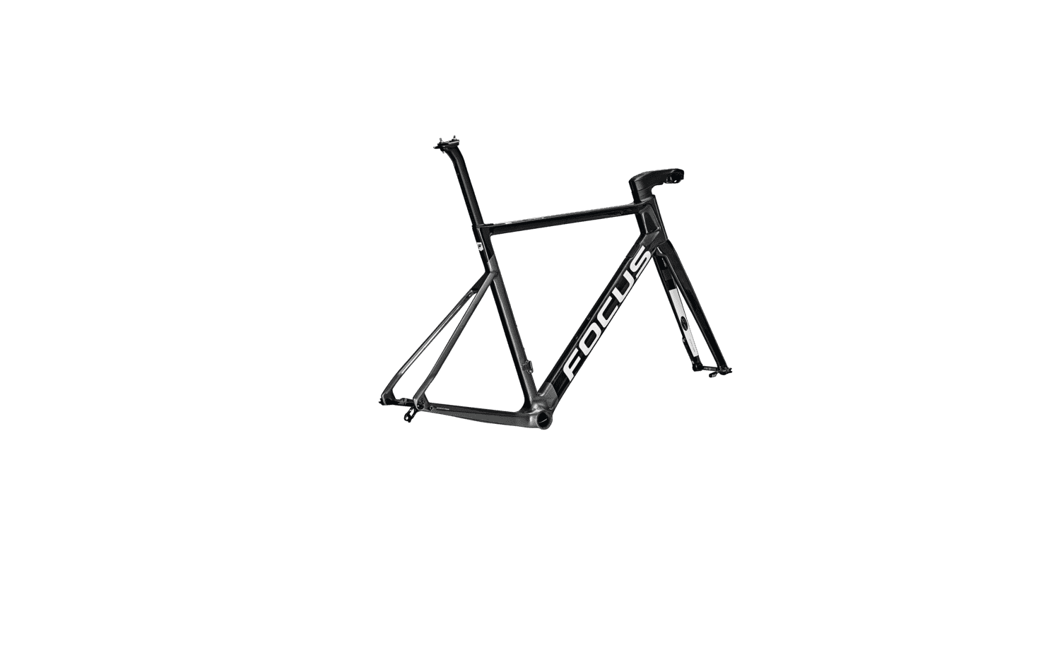 Focus Izalco Max Frameset 2024 www.hockeyplayer .ar