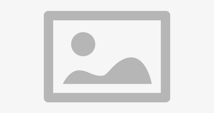 focus whistler 2 e bike 2018