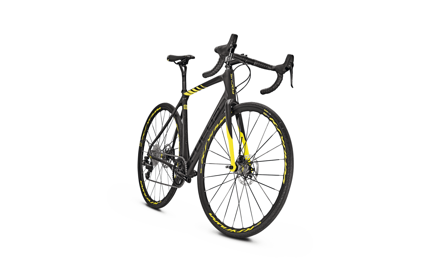 paralane apex