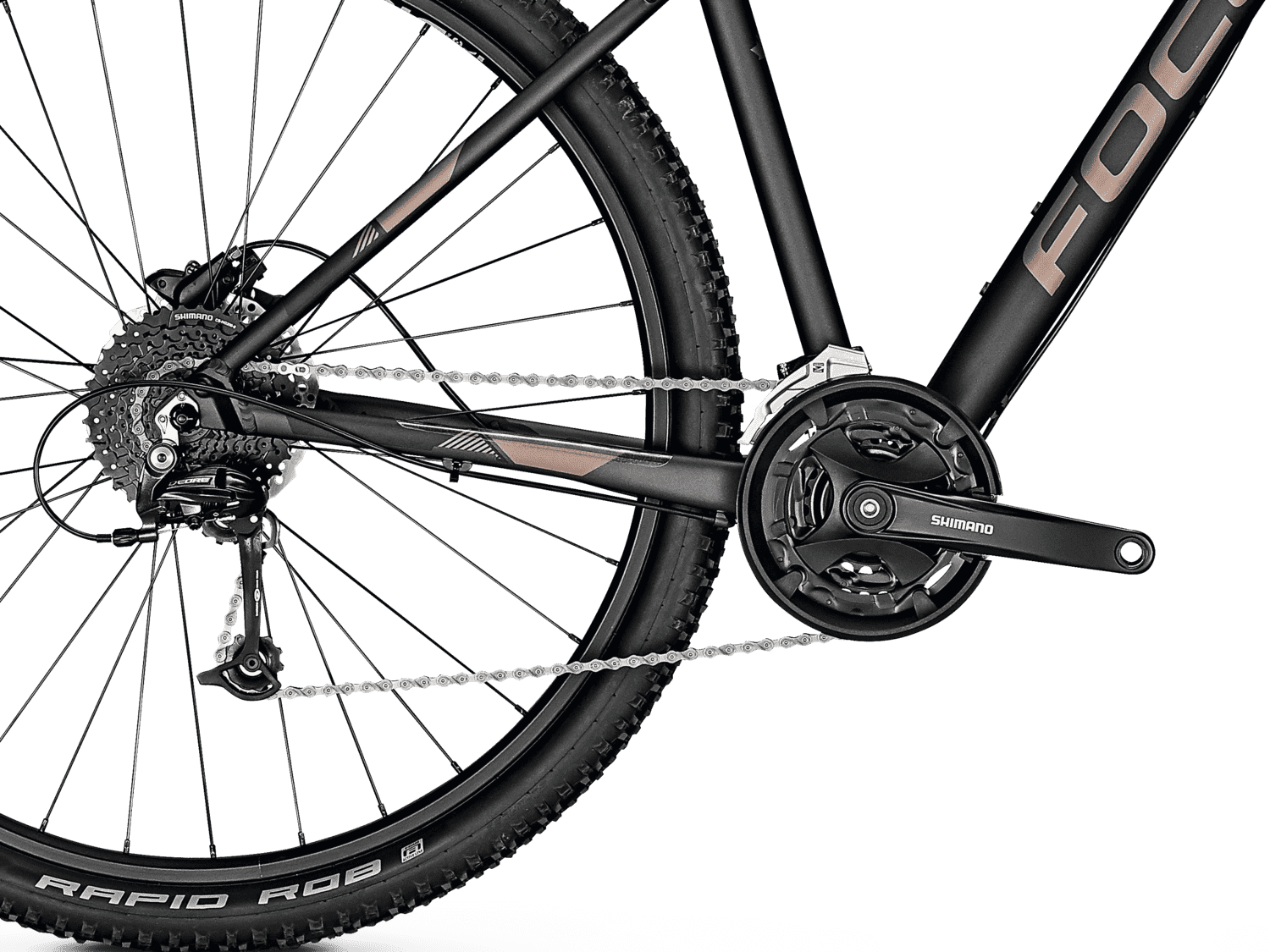 whistler focus bike