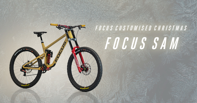 focus dh bike