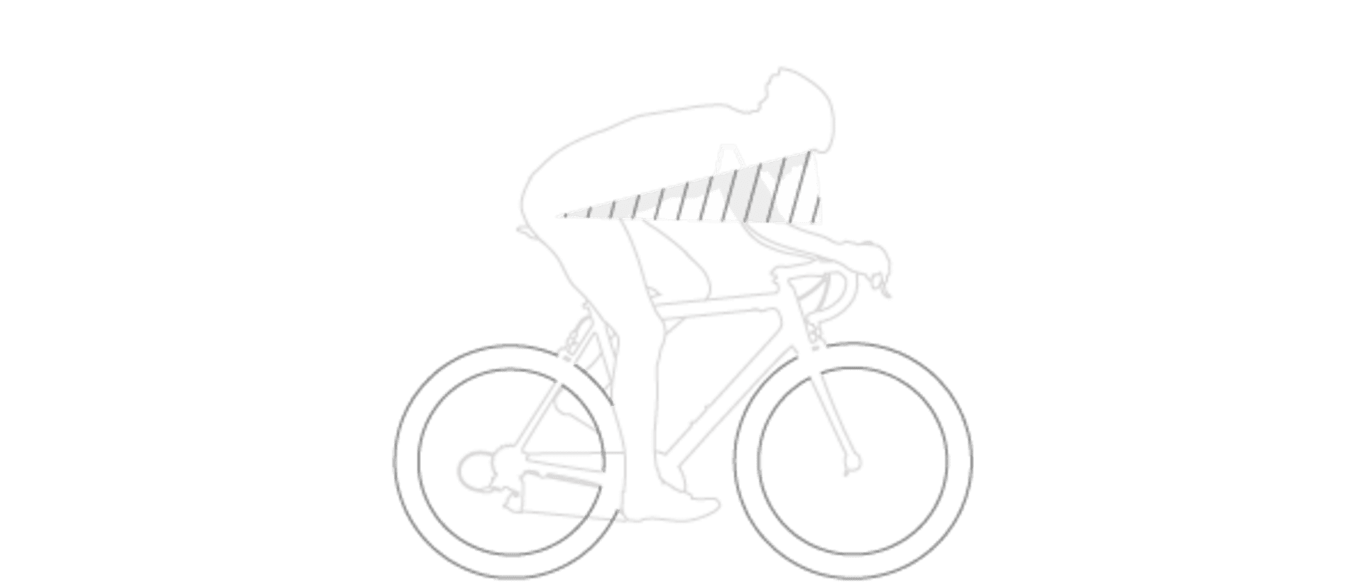 focus road bikes for sale