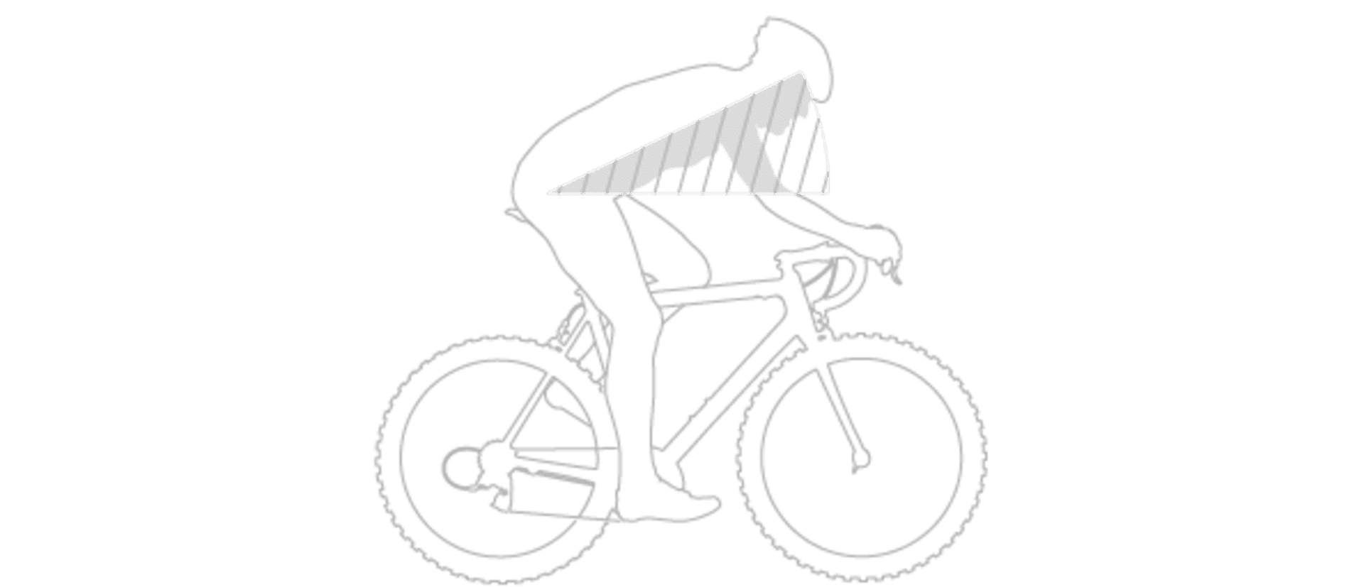 focus bikes australia