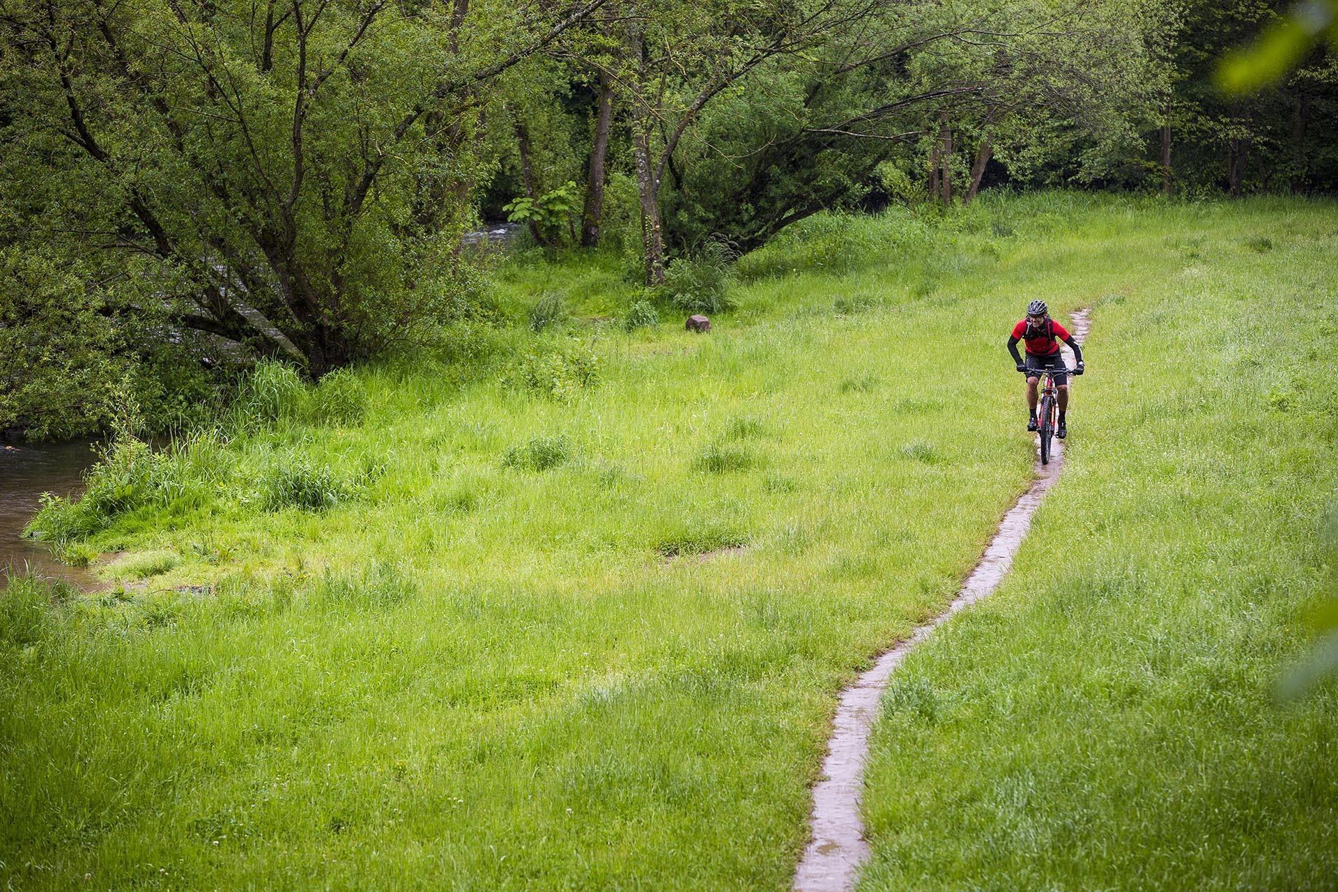 FOCUS Bikes - BOSCH PERFORMANCE CX