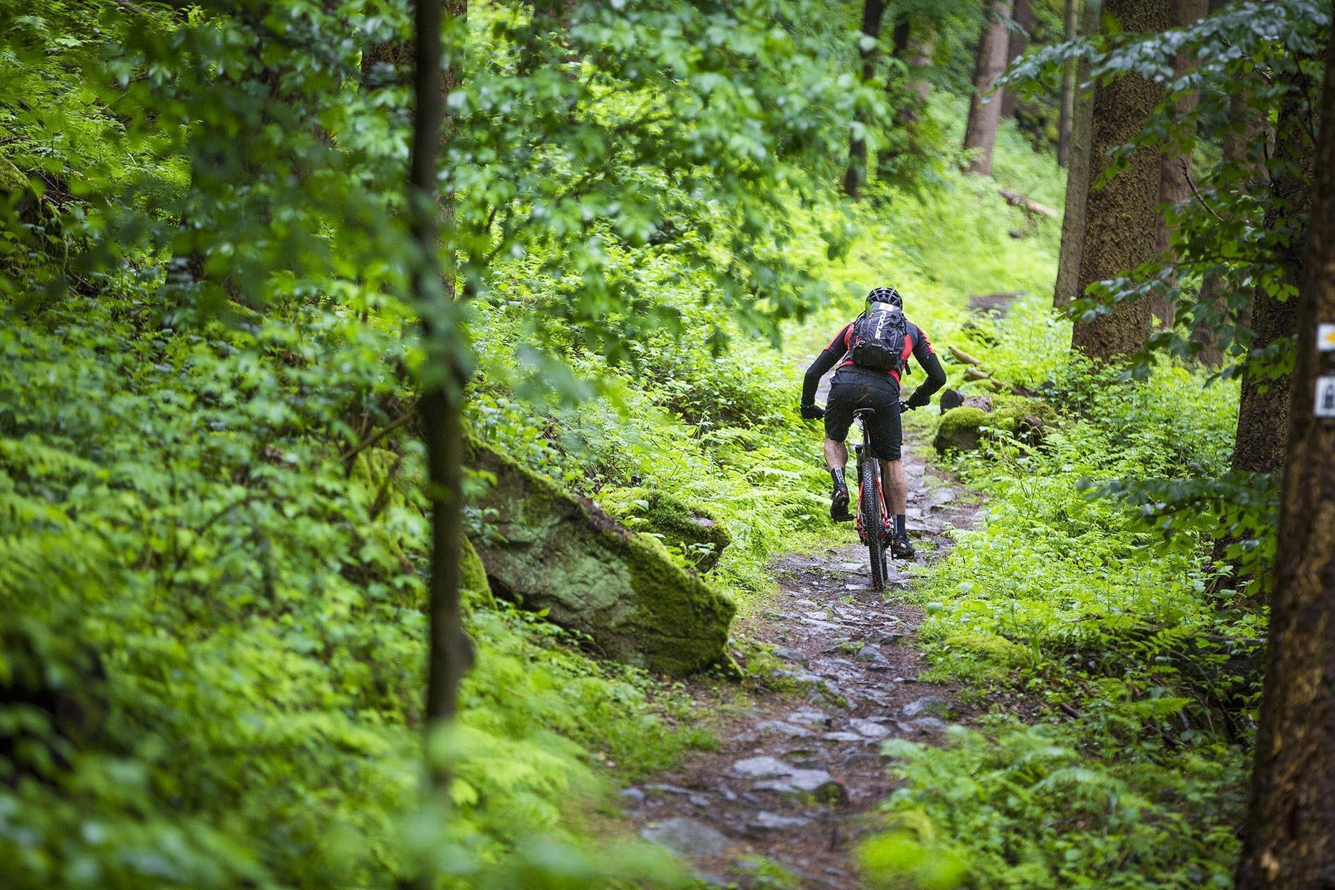FOCUS Bikes - BOSCH PERFORMANCE CX