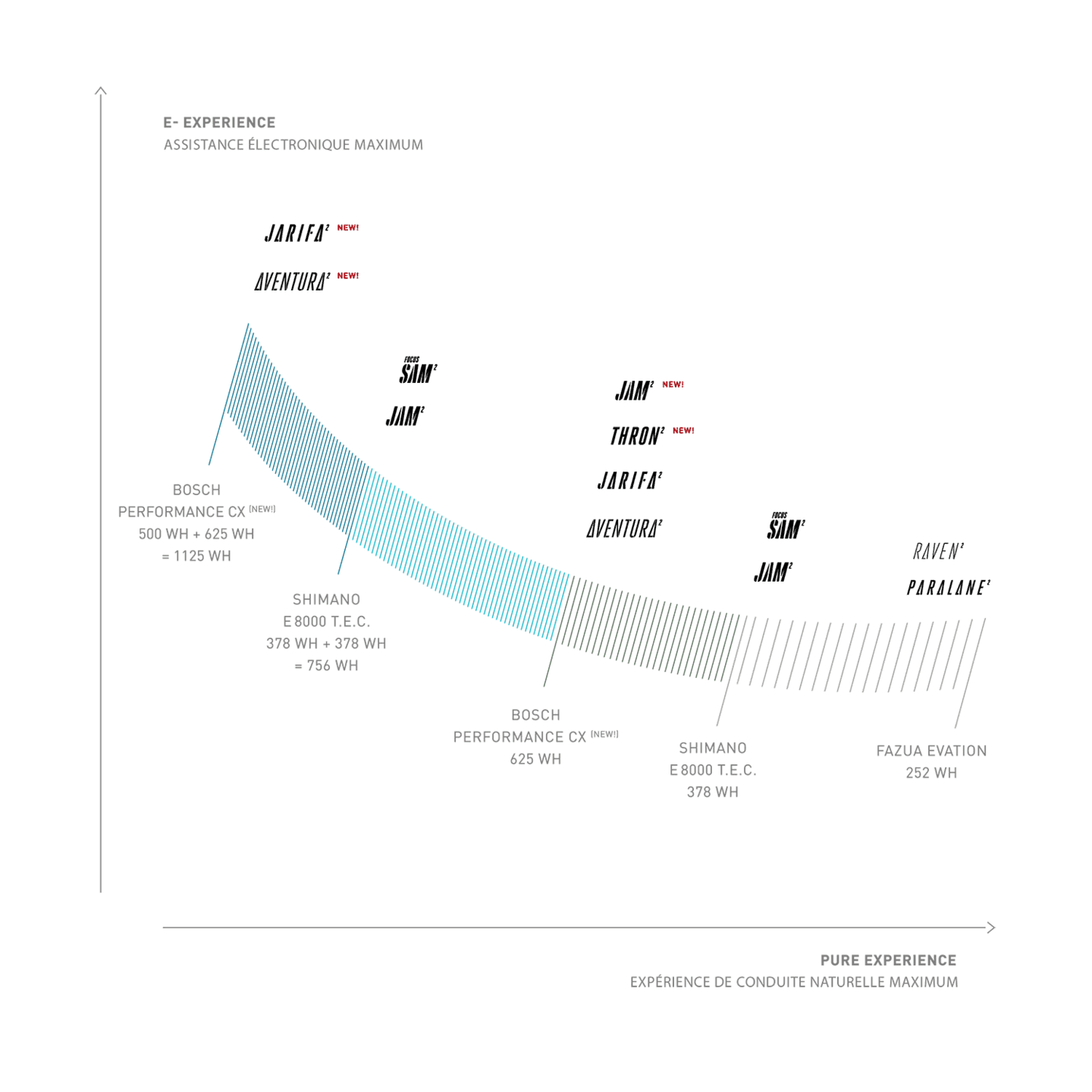 SQUARED EXPERIENCE GRAFIK