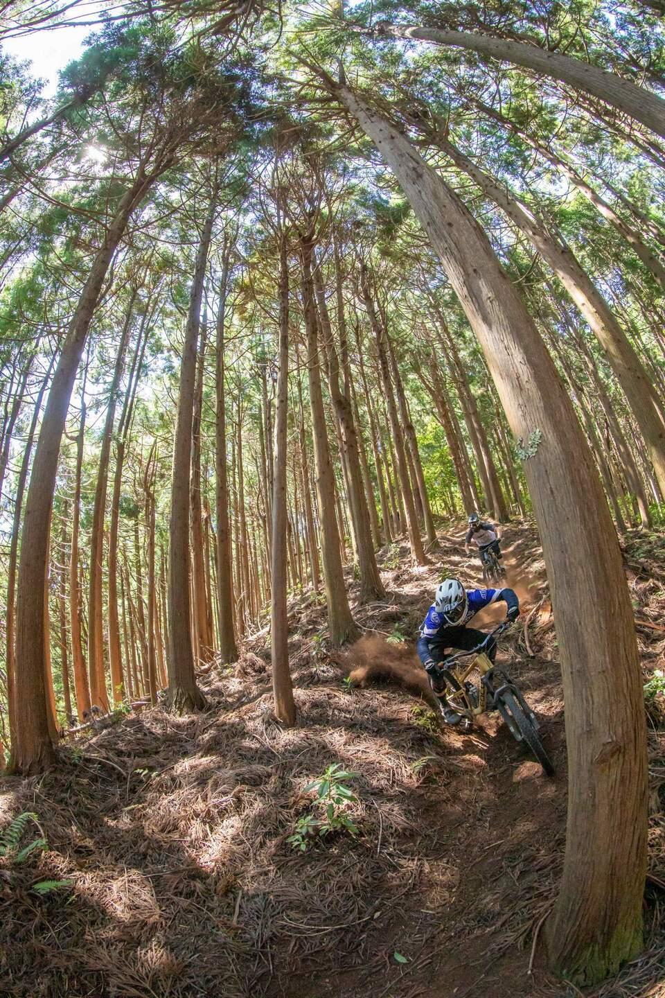 En coulisses Équipe trail Focus à Madère