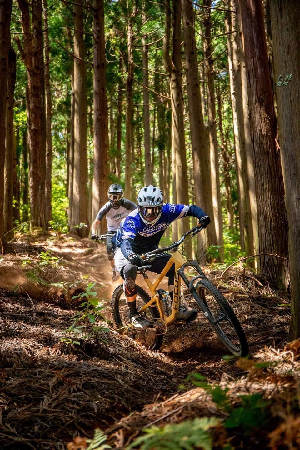 En coulisses Équipe trail Focus à Madère