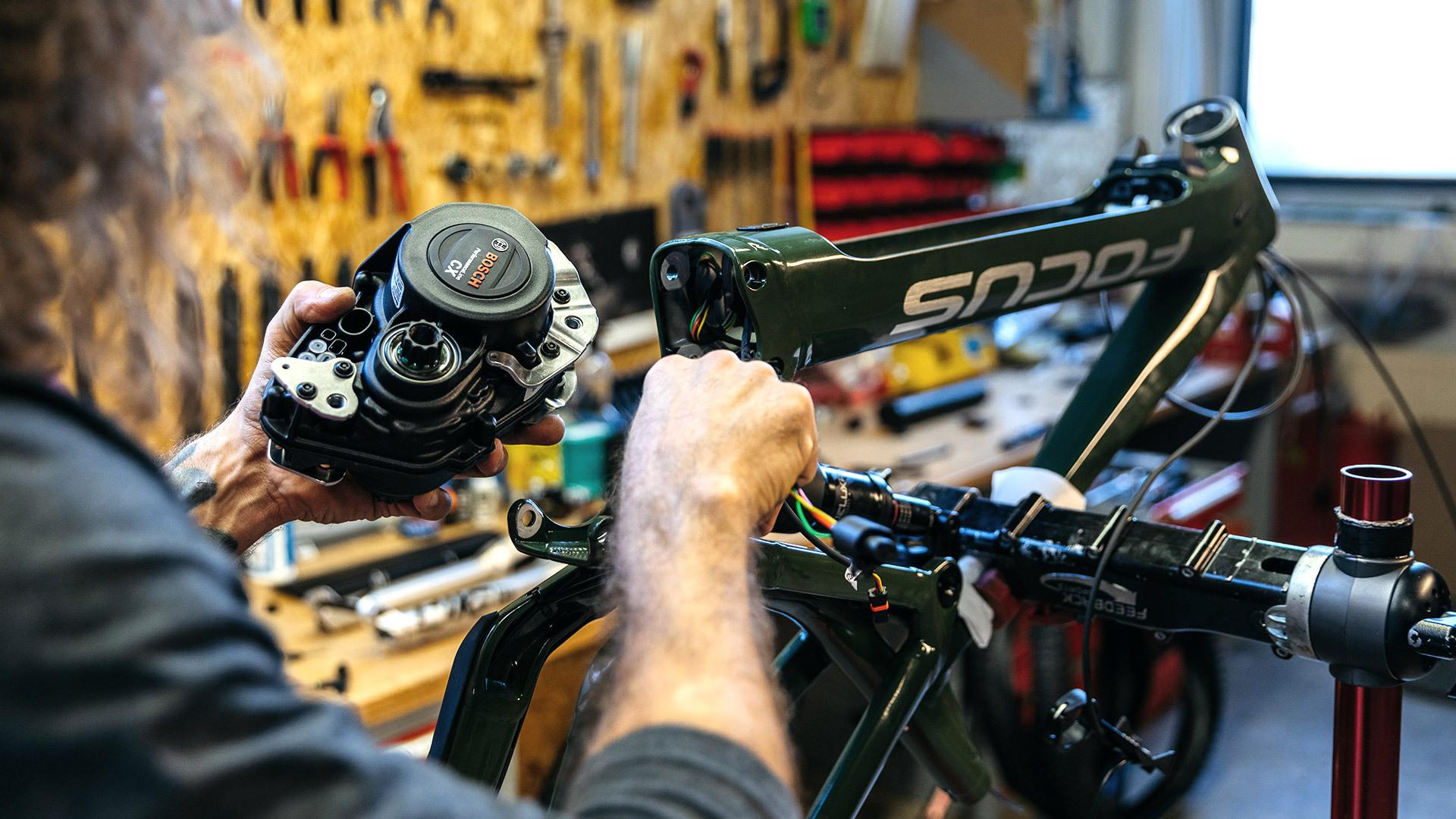 Win The Original Thron 7 11 Focus Bikes