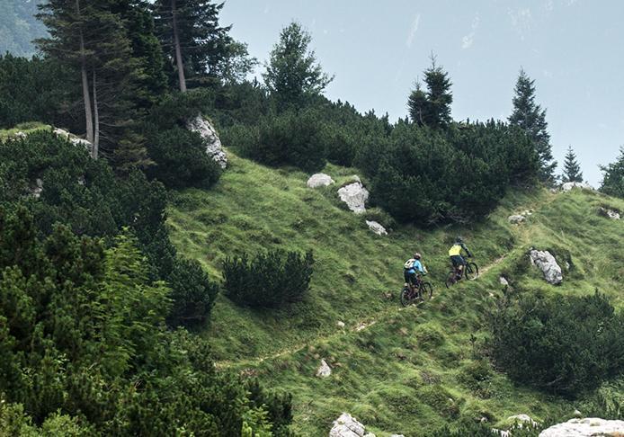 E-MTB