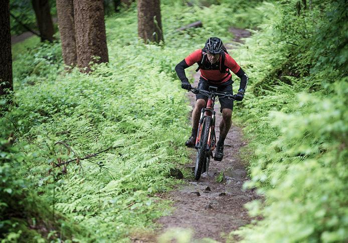 e bikes hardtail
