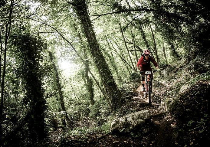 mtb endurance