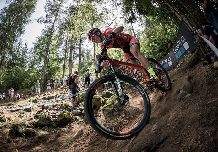 focus bikes mtb