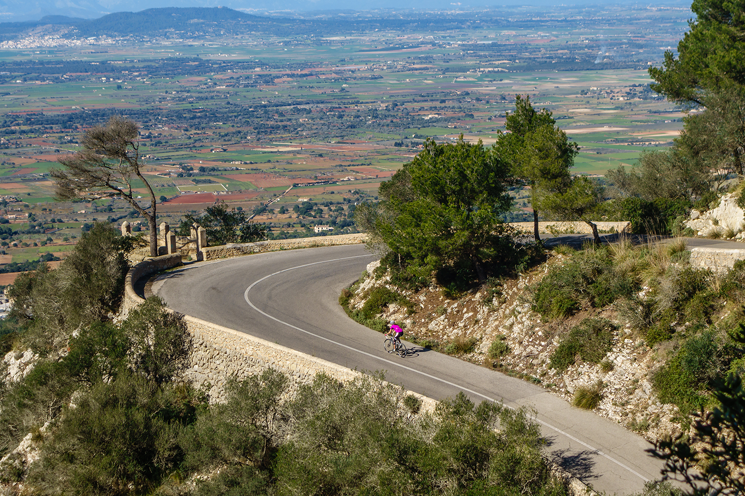 Storias | FOCUS Bikes