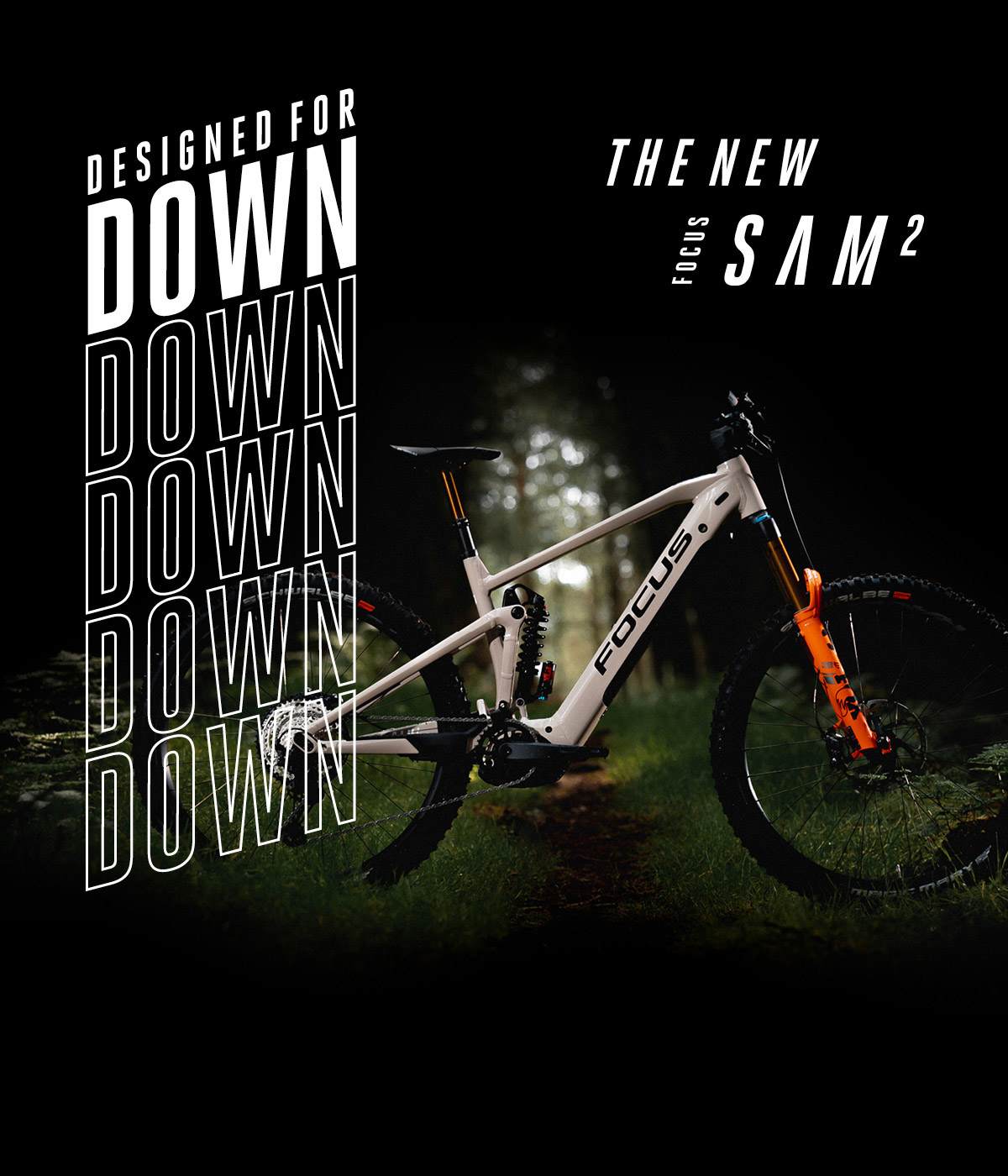 focus bikes for sale